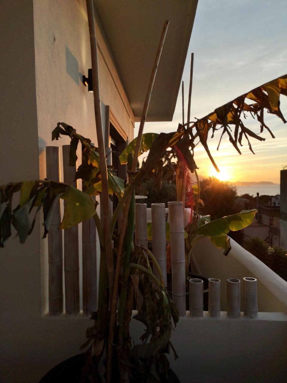 B&B Villa Rosalia Прочида Екстер'єр фото