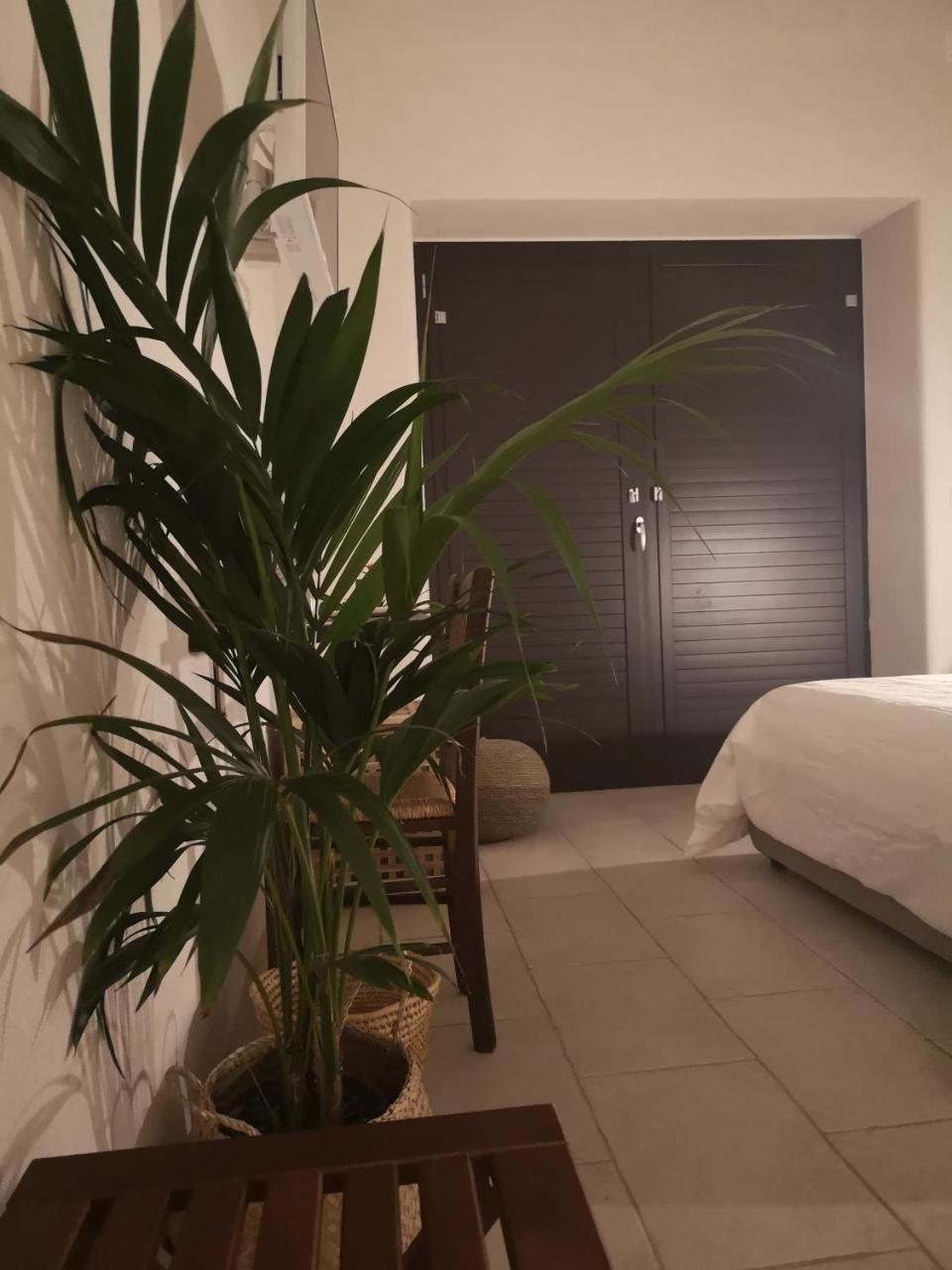 B&B Villa Rosalia Прочида Екстер'єр фото