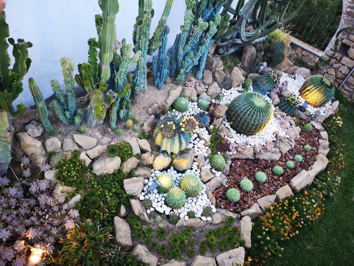 B&B Villa Rosalia Прочида Екстер'єр фото